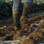 Μπότες γονάτου A-EXCELLIUM S5 πράσινες No47