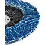 RAIDER Δίσκος φυλλαράκι Φ125 G100 164134