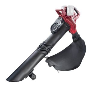 RAIDER R20 Solo Φυσητήρας μπαταρίας 40V RDP-SEBV20 077403