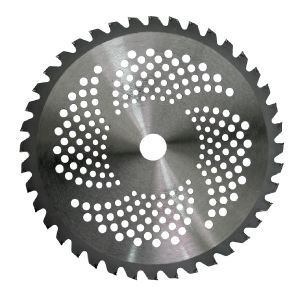 RAIDER Θαμνοκοπτικού δίσκος 40 δόντια 255MM 110230