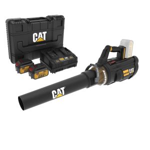 CAT Combo-14 Φυσητήρας DG250B + δώρο κασετίνα + -35% 2 μπαταρίες 4.0Ah με διπλό φορτιστή DXK900