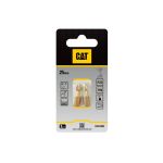 CAT Μύτη κατσαβιδιού αστέρι με μέγεθος PZ2 25mm συσκευασία 2τεμ. DA01002