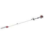 RAIDER Κονταροπρίονο βενζ. 25cc με προέκταση 1m RD-GPS01 075555