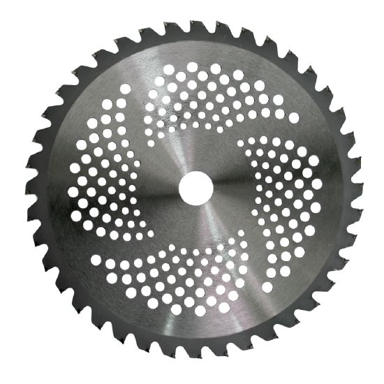 RAIDER Θαμνοκοπτικού δίσκος 40 δόντια 255MM 110230